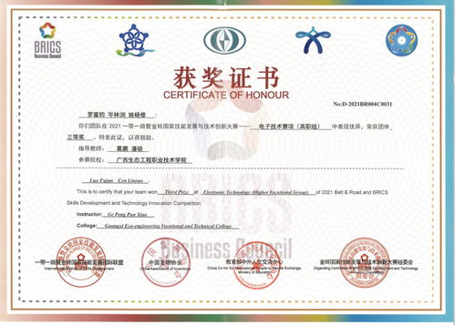 喜訊！我校代表隊(duì)在2021一帶一路暨金磚國(guó)家技能大賽電子技術(shù)賽項(xiàng)國(guó)內(nèi)賽決賽中勇奪佳績(jī)